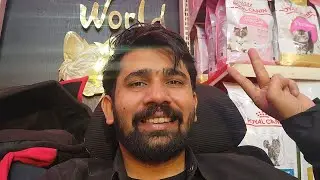 Animals World Pets Clinic By Hamza Aslam is live!