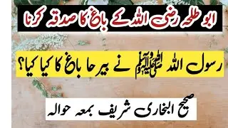 Abo Talaha Razi Allah ka Bag ka Sadaqah | Abu Talha's garden charity | abdulrehmanpk777    #youtube 