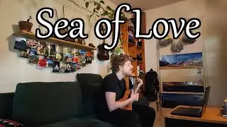Sea of Love | Cat Power / Phil Phillips | Ukulele and Singing Cover