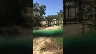 Tunis, Hammamet. Phrygia Zoo. Зоопарк Фригия #тунис