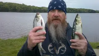 Bankfishing for catfish on Binder Lake