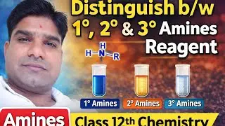 Reagent of Amines | Distinguish b/w Primary secondary tertiary Amines | Aliphatic Aromatic amines 12