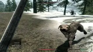 The Elder Scrolls V: Skyrim Cz