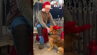 Backstage v&aacute;nočn&iacute;ho videa: parohy padly 🐾