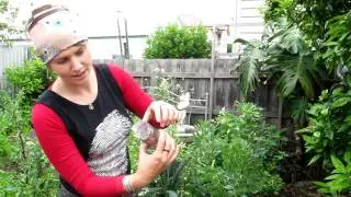 potmaker-instructions.mov