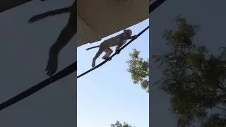jio fibre ki cable jai bajrangbali #trendingshorts video #funny#comedy #rk.7830