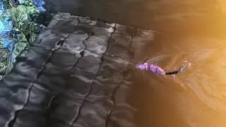 RAT ATTACK fishing lure in action, swim demonstration.