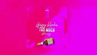 Gappy Ranks - Too Much Henny (Audio)