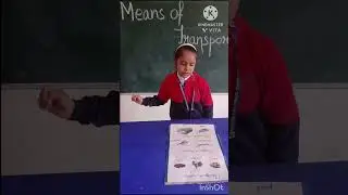 #transport #activity  #means of transport #video for kids