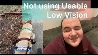 Relying on My Guide Dog, without using My usable Low Vision (Completely Blind??)