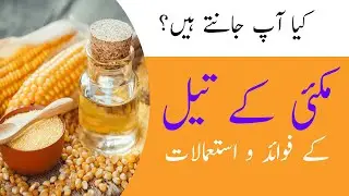 Learn the benefits and uses of corn oil and easy way to make it at home | مکئی کے تیل | Hunza Tv