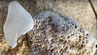 Crystallized Fossil Favosites Plus Nice Piece of Beach Glass