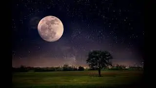 Kid Baltan - Night Train Blues / Early Electronic Music