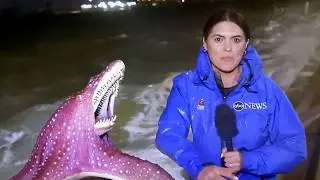 Real Live TV Incidents No One Has Ever Explained