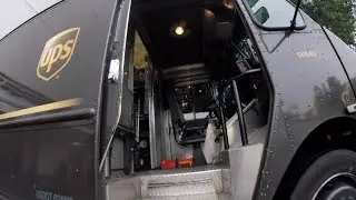 Brown Vs FedEx  The Ultimate Package Transfer