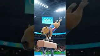 How the Capybara Uses Its Unique Center of Gravity to Perform the Most Stable Routine in Olympic