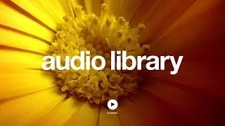 Barton Springs &ndash; Bird Creek (No Copyright Music)
