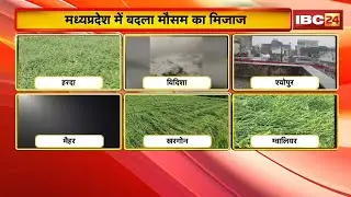 MP Weather News: Weather patterns change in the state. Rain and storm warnings issued in 28 distr...