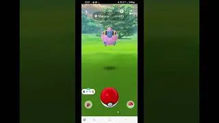 Mareep Community day classic