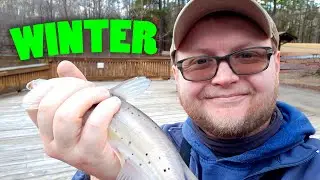 Winter Fishing Grind - What Will Bite?