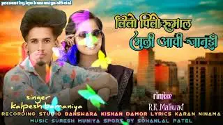 लीलो पिलो रूमाल भूली आवी जानूड़ी/ kalpesh bamaniya/New timli Song 2025 &lrm;⁨