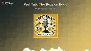 What Temperature Kills Fleas?