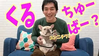 ユーチューバー 草なぎ&クルミ登場！