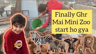 Finally Ghr mai | Mini Zoo ka kam | shuro ho gya 😍
