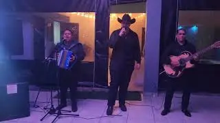 Abeja Reyna Fara Fara