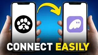 How To Easily Connect Paws Airdrop To Phantom Wallet