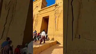 Some Highlights of our EGYPT-PETRA 14Days Tour (Tourradar)
