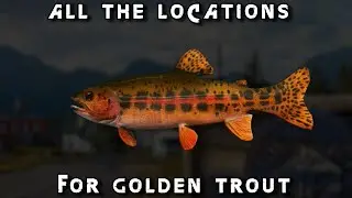 All The Locations To Catch Golden Trout In Far Cry 5