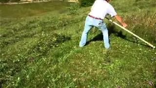 LA COSIT IARBA IN ARDEAL