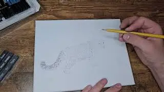 How to draw a Snow Leopard: graphite and charcoal on canvas