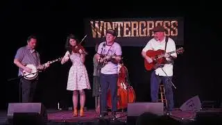 Whiskey Deaf Bluegrass Band - Anchored in Love, Wintergrass 2024