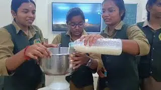 Cream separation from cow milk demonstration 