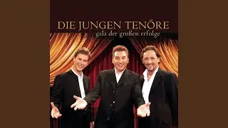 Zeit Der Erinnerung (Album Version)