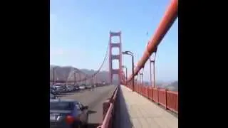 Deer Takes a Walk on the Golden Gate Bridge