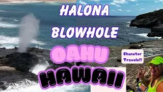 See the Dangerous but Stunning Halona Blowhole in Oahu Hawaii
