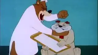 Возвращение вращения Мемного Медведя
