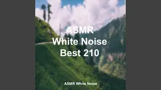 White Noise Mountain Bird Twitter Sound