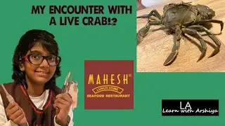 Encounter with a live crab | Before it was on my plate 🤣 | #seafood #livecrab