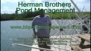 Porcupine Fish Attractors- Underwater Footage and Fun Info