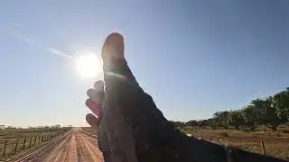 BINO COM SAUDADES DOS TRENS