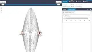 Visualization Of Parallel Graph Models In Graphlytic.biz