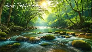 Beautiful Relaxing Peaceful Music for Deep Rest, Calm Thoughts, and Emotional Renewal