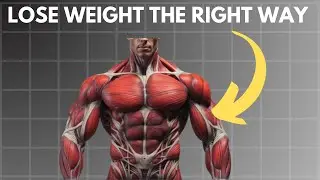 NO BS GUIDE TO FAT LOSS