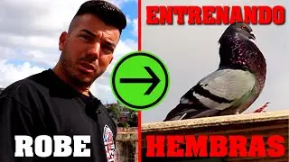 Hembreando Palomas con Roberto Saenz