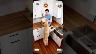 Kitchen Chaos 😂😂 #MilosMishaps #FlourBomb #KitchenFail #DogMess #FlourExplosion #FunnyDogVideos