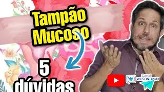 O que &eacute; TAMP&Atilde;O MUCOSO? Perdi o tamp&atilde;o e agora, o que fazer?